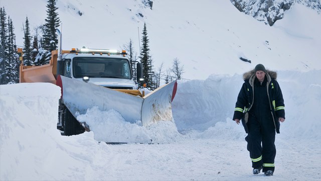 Šaltas kraujas - recenzija