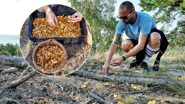 Filmuojant komediją „Ir visi jų vyrai“, vaizdingą Nidos vietą teko apsodinti pirktiniais grybais 
