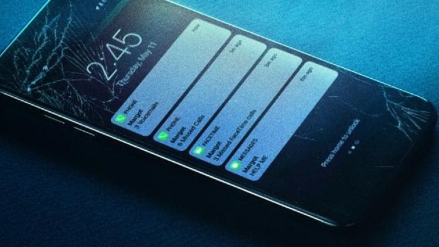 Paieška - recenzija