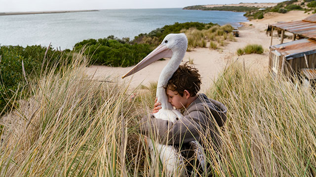 Audros vaikas - recenzija
