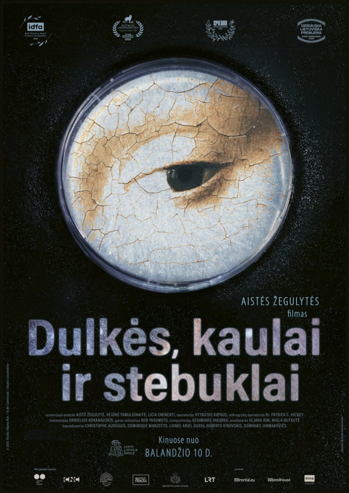 Dulkės, kaulai ir stebuklai