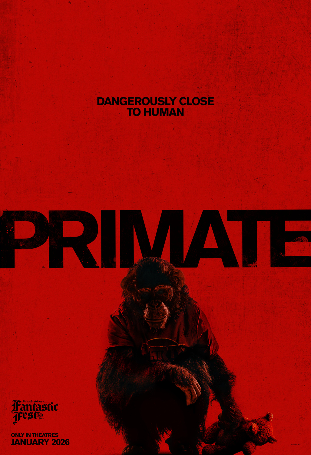 Primatas (PRIMATE)